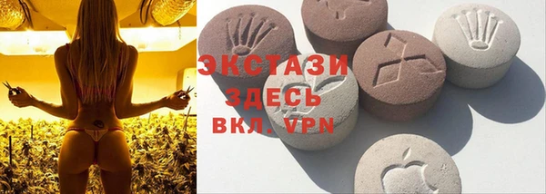 стаф Чердынь