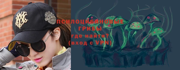 амф Богородицк