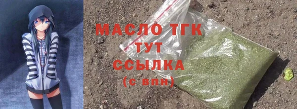соль ск Богданович