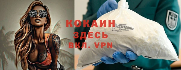 стаф Чердынь