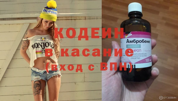 соль ск Богданович