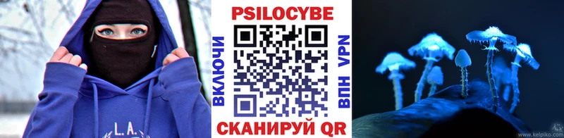 Псилоцибиновые грибы прущие грибы  Купить закладки  Петровск-Забайкальский 