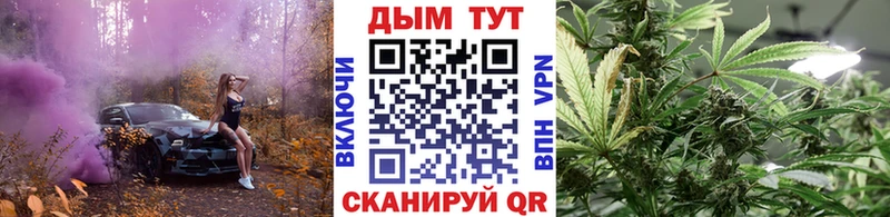 Купить закладки  Петровск-Забайкальский  МАРИХУАНА THC 21% 